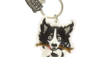 llavero border collie